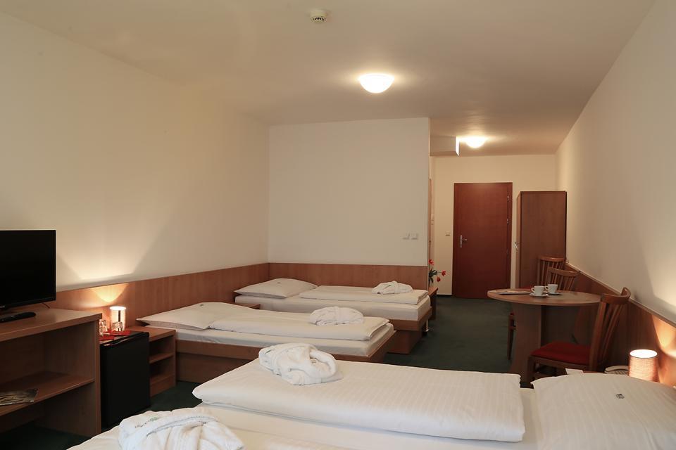 Hotel Popelka Прага Стая снимка